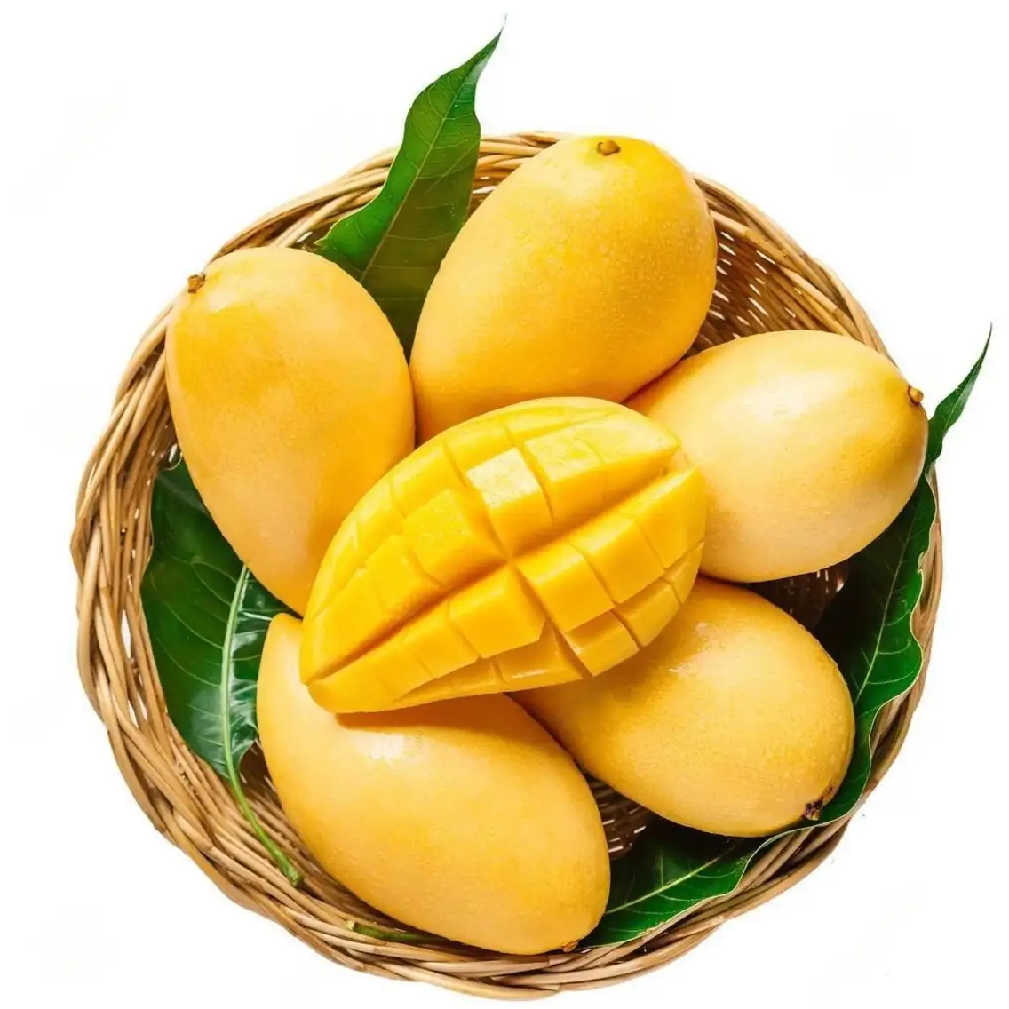 Mango Varieties