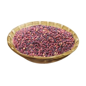 Sherbet Berry (Falsa)